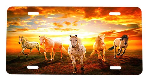 License Plate with Horses