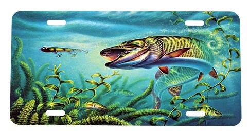 Fishing License Plate