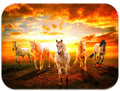 Wild Horses Mousepad