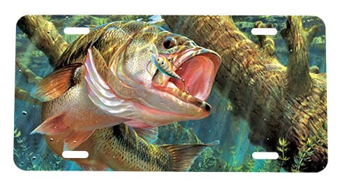Fishing License Plate