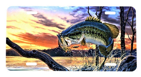 Fishing License Plate